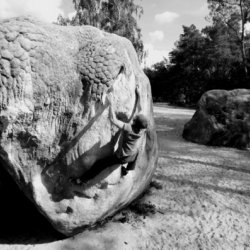 0005_Markus_Schaedel_Bouldering_in-Fontainebleau-Foto-Enrico_Haase.jpg