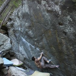 82-newbaseline2.jpg