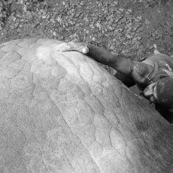 0043_Markus_Schaedel_Bouldering_in-Fontainebleau-Foto-Enrico_Haase.jpg