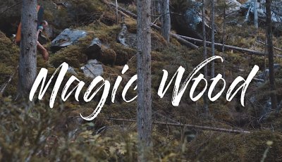 Thomas Lindinger in Magic Wood